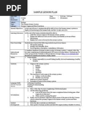 Sample Lesson Plan