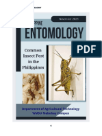 Philippine Entomology Esu Mabuhay
