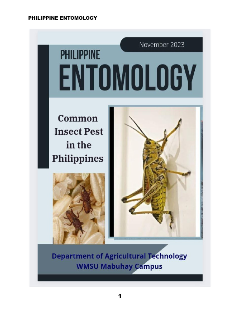Common Insect Pests in the Philippines | PDF | Pest (Organism) | Rice