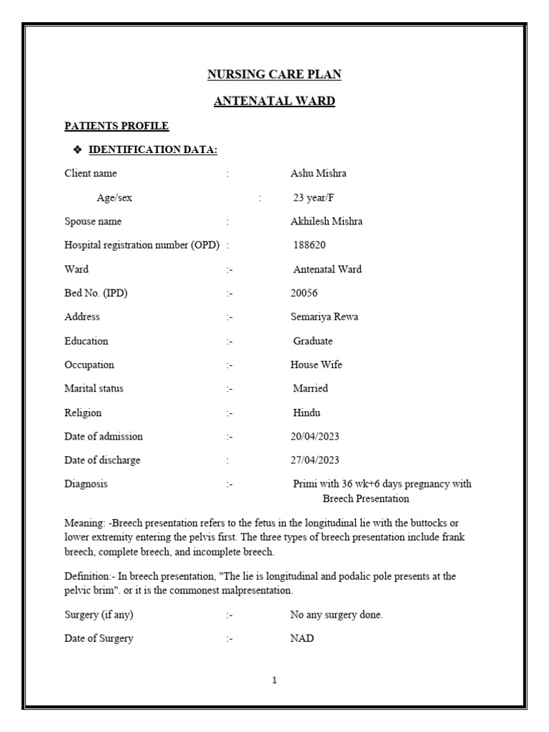 Antenatal Nursing Care Plan PDF Pregnancy Nursing