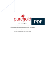 Pure Gold Mining CFS Q3 09302022