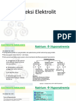 Koreksi Elektrolit