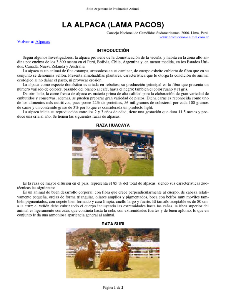 24 Alpaca | PDF | Carne