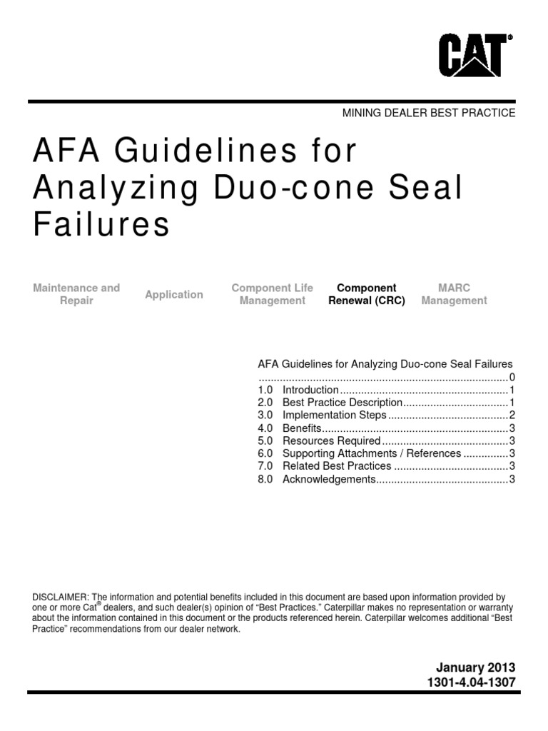 AFA Guidelines For Analyzing DuoCone Seal Failures PDF Information