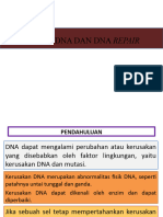 Mutasi Dan DNA Repair