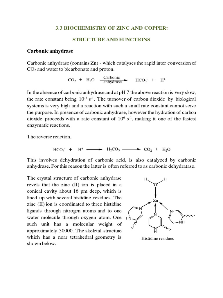Carbonic Anhydrase 3.3 Biochemistry of Zinc and Copper Structure and