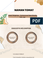 Tanaman Tomat - Praktikum Botani Farmasi-2