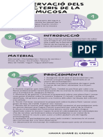 Infografia Vertical Ciencia Normas Del Laboratorio