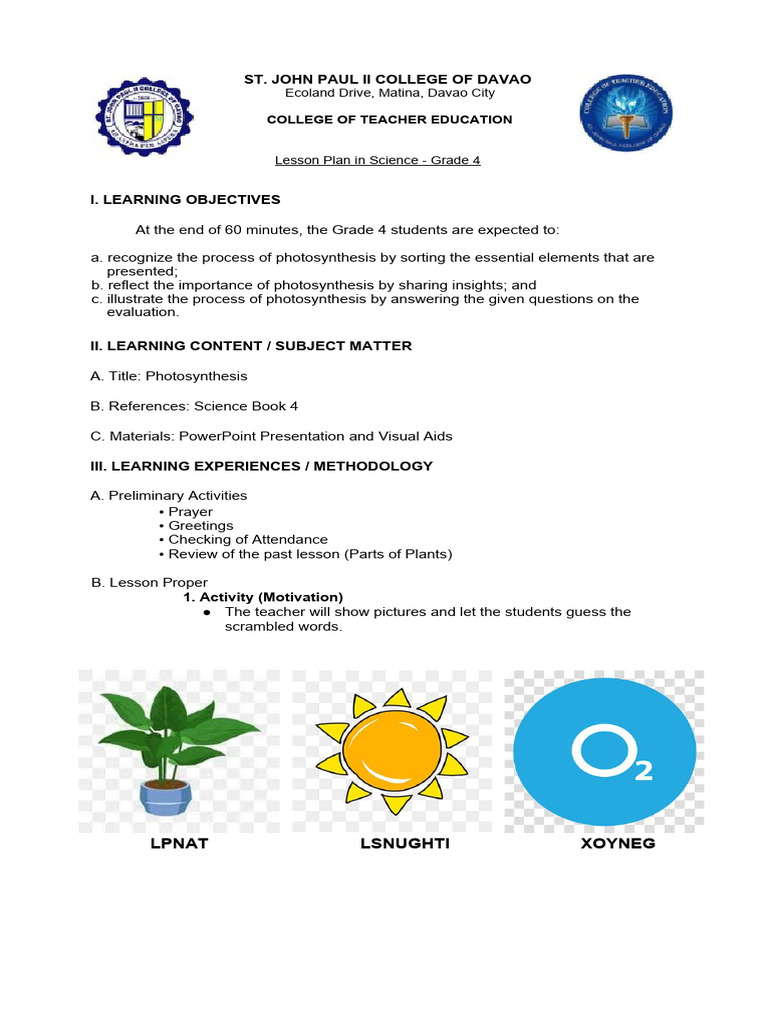 Grade 4 Photosynthesis Lesson Plan | PDF | Stoma | Leaf