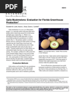 Download Melon by api-3763682 SN6874115 doc pdf