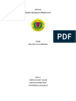 TUGAS Peta RBI I Manyaran IUTP - Diah Mala Sari - C1B021024