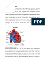 Jantung Beserta Fungsinya