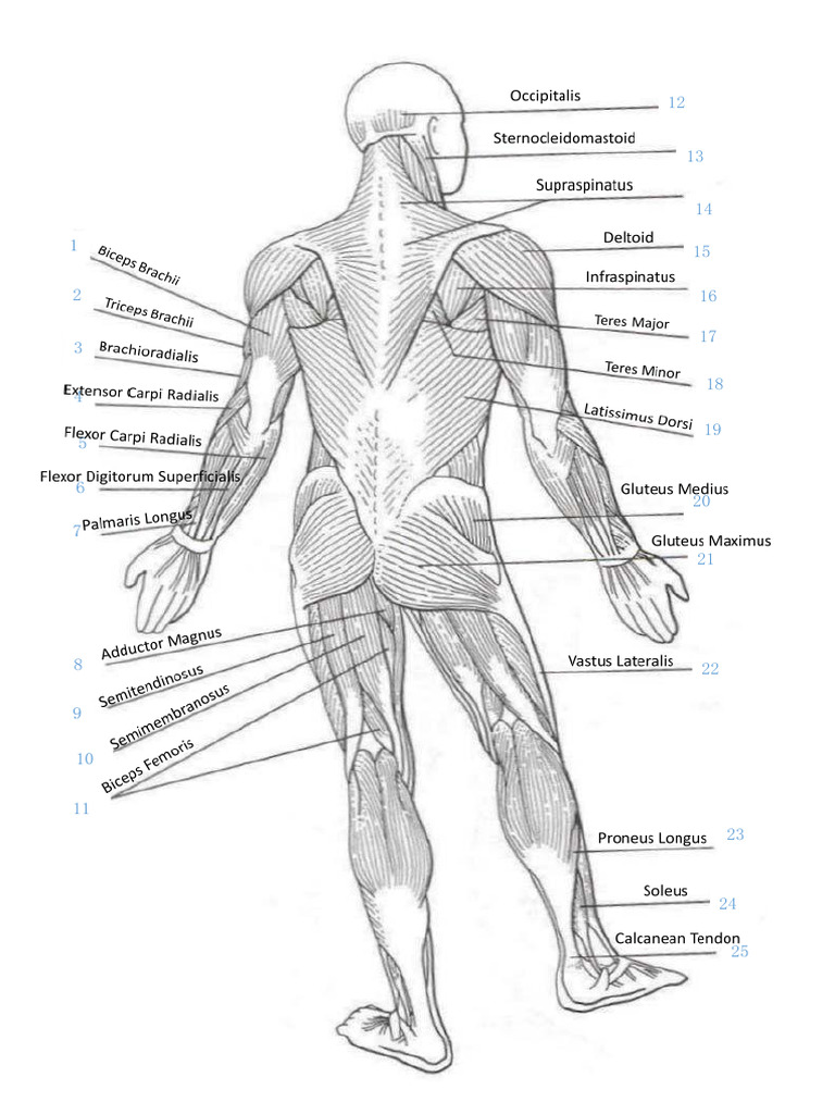part-3-cu-1-lab-act-pdf