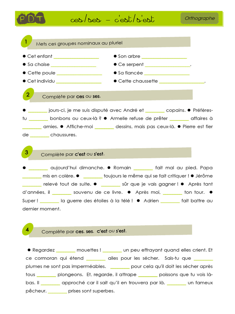Exercices sur ces/ses et c'est/s'est CM1 | PDF | Maison et jardin