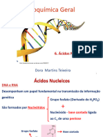 Ácidos Nucleicos