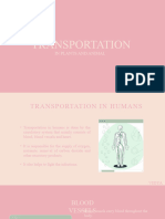 TRANSPORTATION in Plants and Animals