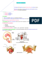 2-Phase Bucco Oesophagienne