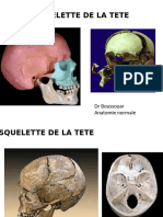 Squelette de La Tete2-1