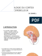 4 - Histo Du Cortex Cérébelleux