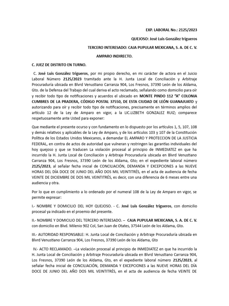 Amparo Laboral de José Luis González | PDF | Debido al proceso ...