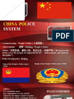 China Police System