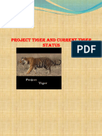 Project Tiger