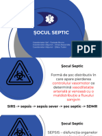 Socul Septic.pptx