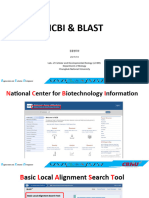 NCBI Blast