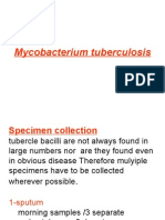 Mycobacterium Tuberculosis Lab14