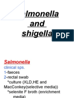 salmonell and shigella lab-13