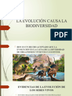 2 La Evolución Causa La Biodiversidad