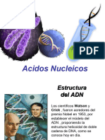 1-07 Acidos Nucleicos