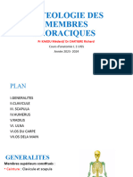 Osteologie Des Membres Thoraciques