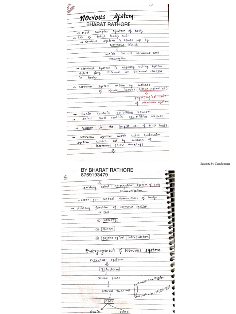 Neuro Notes by Bharat Rathore | PDF