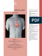 Parato Cardiovascular Corazon Capi.21