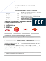 Cuestionario Segundo Parcial 2023