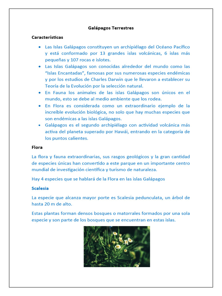 Galápagos Terrestres Pdf Islas Galápagos Naturaleza