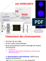 6 - Techniques de Cytogénétique Moléculaire