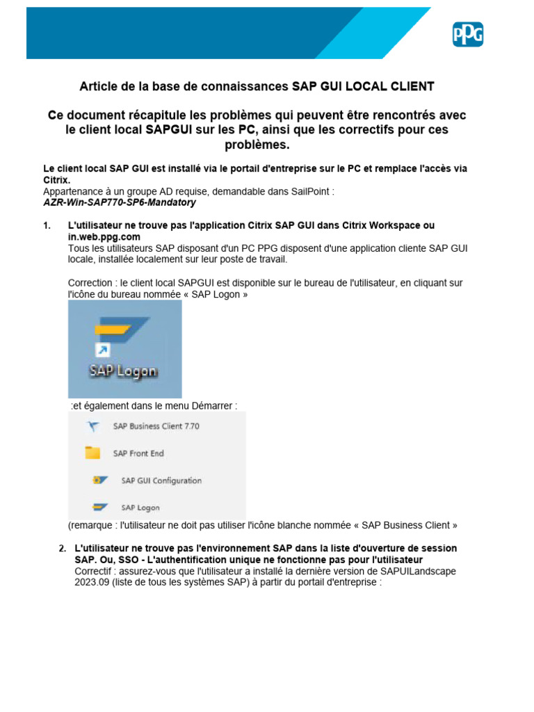 Problèmes et solutions SAP GUI Local | PDF | Interface graphique ...