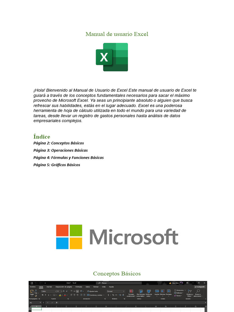 MANUAL DE EXCEL PDF visual data 6