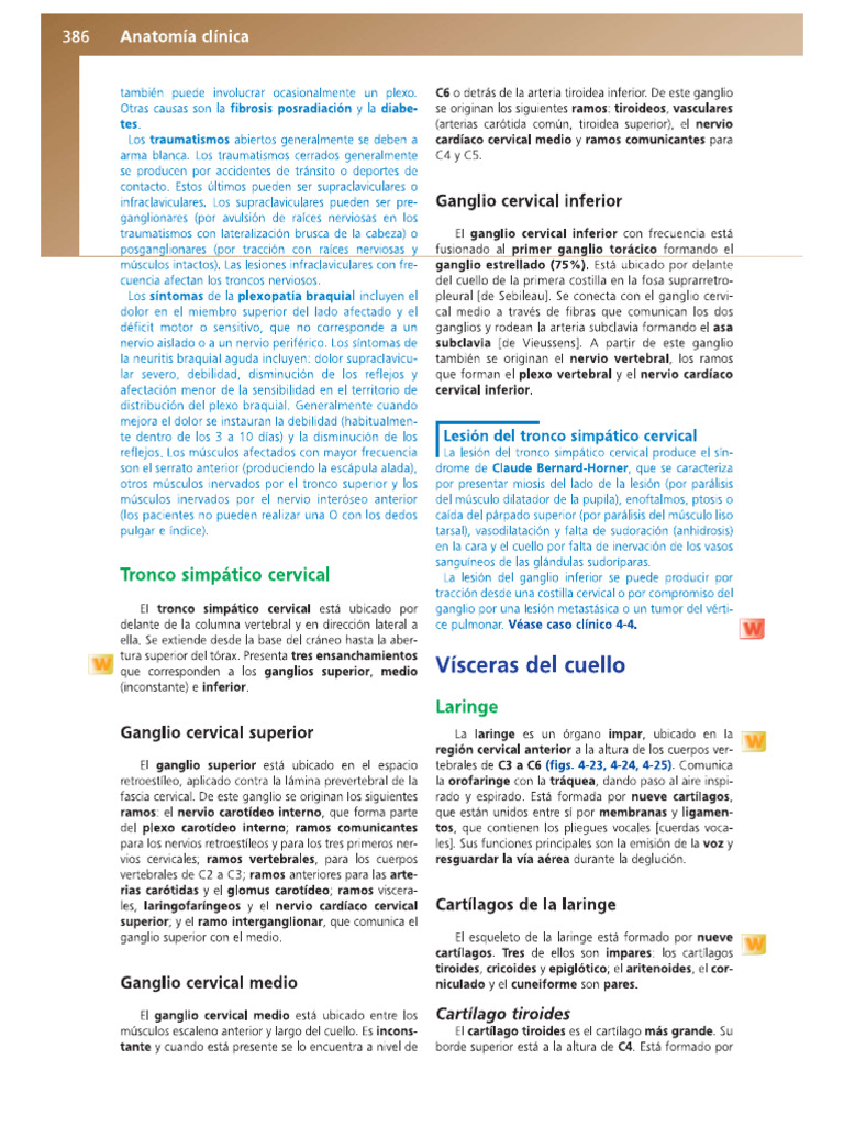 Laringe Anatomía Clínica Pro Eduardo Pdf