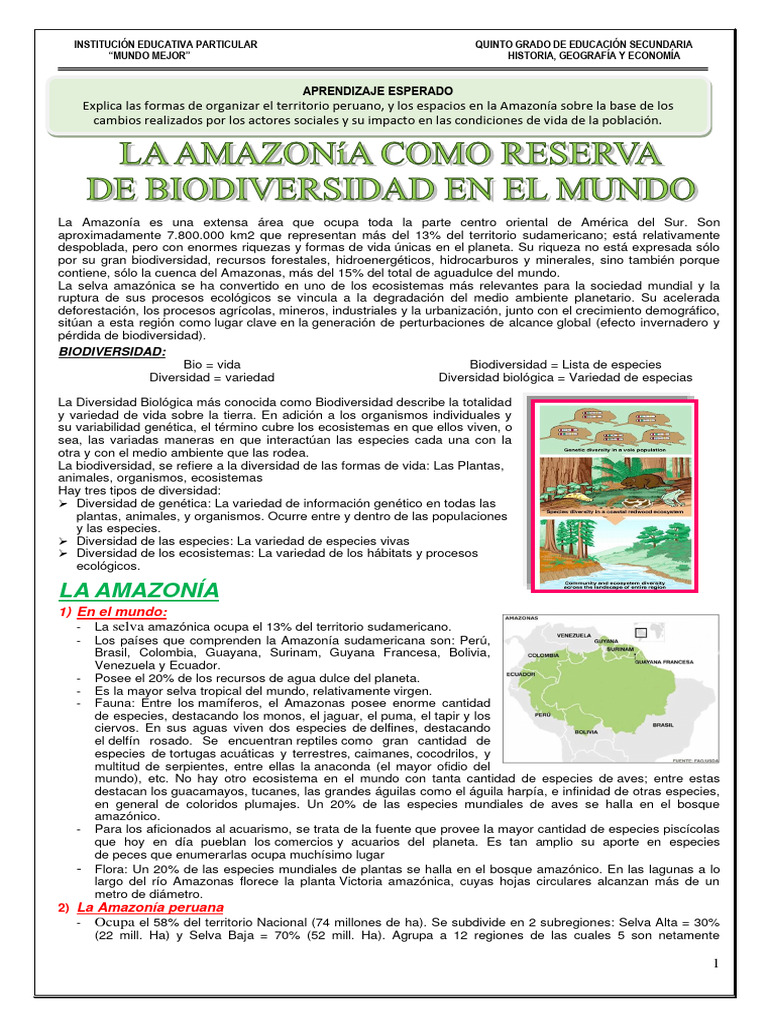 Conservación de la Biodiversidad Amazónica | PDF | Selva amazónica ...