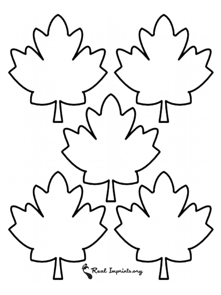 Printable Medium Leaves | PDF