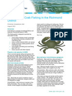 Fishing Guide Recreational Crabbing Richmond