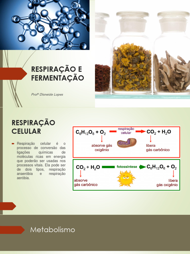 Respiração E Fermentação Pdf Respiração Celular Dieta E Nutrição