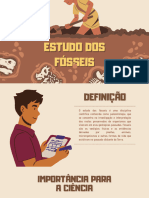 Estudo Dos Fósseis