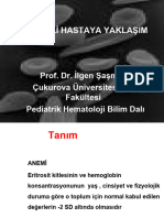 Anemili Hastaya Yaklaşım