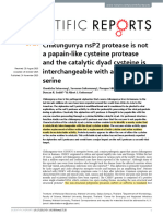 Chikungunya Nsp2 Protease Is Not A Papain-Like Cysteine Protease and The Catalytic Dyad Cysteine Is Interchangeable With A Proximal Serine
