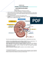 Clases Nefrología - I Parcial-1-90