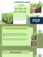 Aloe Vera For Burn Wound by Hans Andreas